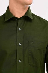 Forest Olive Green