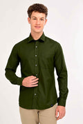 Forest Olive Green